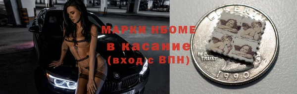прущие грибы Балабаново