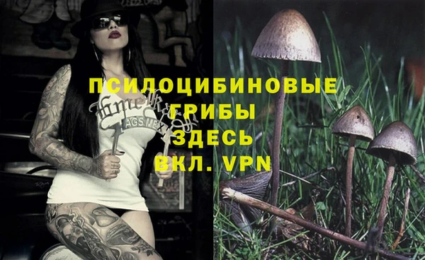 дмт Арсеньев