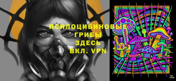 прущие грибы Балабаново