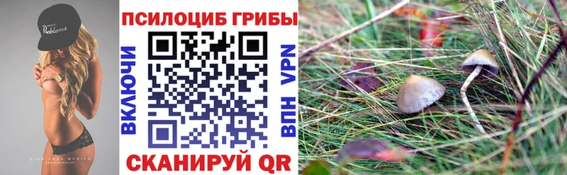 гидра tor  Нея  Псилоцибиновые грибы Psilocybe 